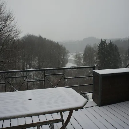 In Near & Forest *